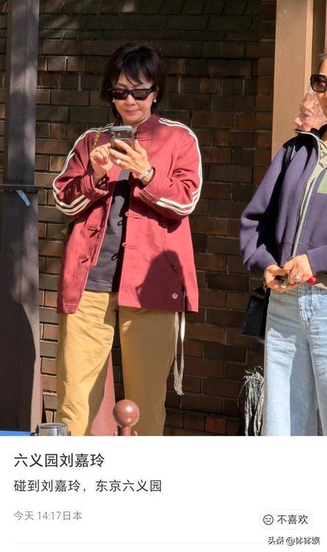  万千光影背后的平凡时刻：探寻刘嘉玲的真实生活哲学 情感心理