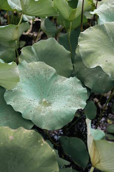  中东冲突升级，金融市场剧烈震荡；以色列空袭伊朗首都基础设施，原油价格显著攀升。 股票财经 中东冲突升级，金融市场剧烈震荡；以色列空袭伊朗首都基础设施，原油价格显著攀升。 股票财经 中东冲突升级，金融市场剧烈震荡；以色列空袭伊朗首都基础设施，原油价格显著攀升。 股票财经 中东冲突升级，金融市场剧烈震荡；以色列空袭伊朗首都基础设施，原油价格显著攀升。 股票财经