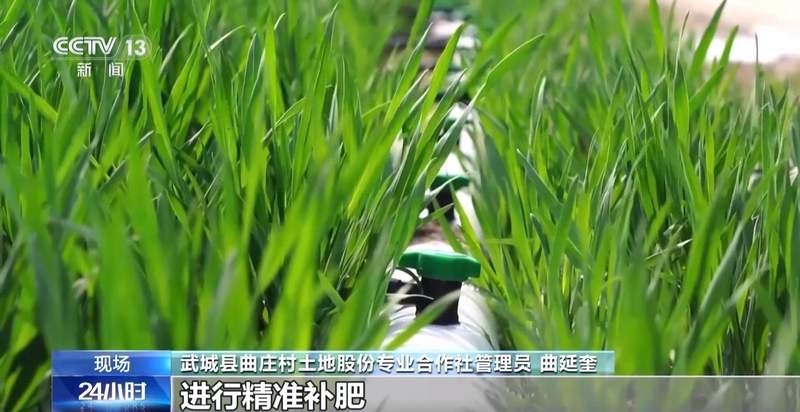  智能灌溉革命：数据如何重塑春耕生产效率 IT技术