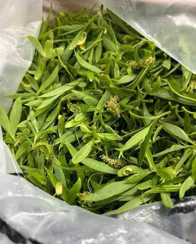  【技术解密】一张杨柳烧饼的匠心工艺：火候、比例与时机 文化旅游