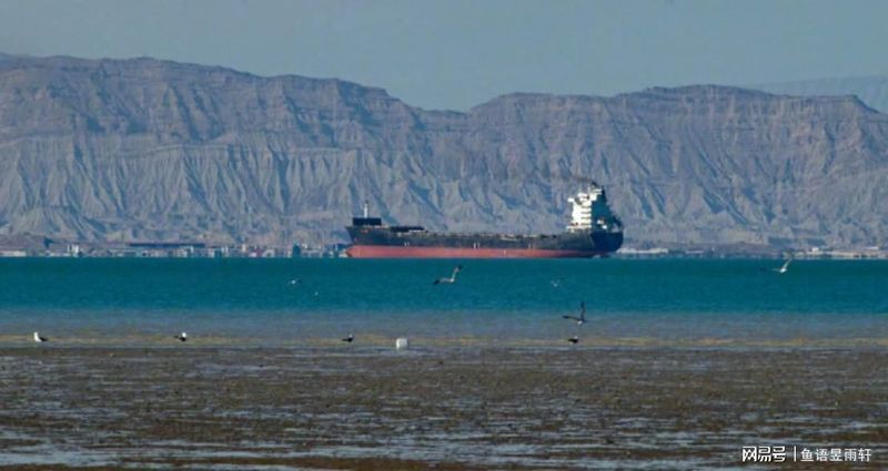  霍尔木兹困局：全球能源咽喉的地缘博弈与战略困局深度解析 新闻