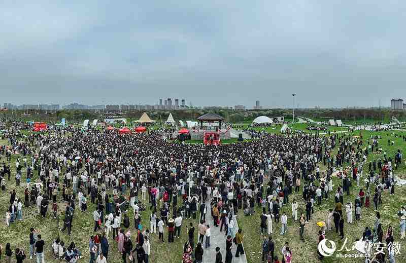  【文旅深度】15万株樱花如何炼成皖北爆款：固镇樱花季的数据逻辑与运营复盘 文化旅游