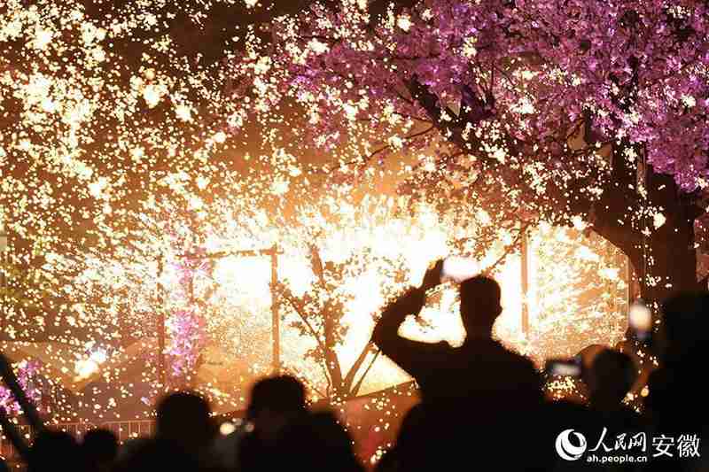  【文旅深度】15万株樱花如何炼成皖北爆款：固镇樱花季的数据逻辑与运营复盘 文化旅游