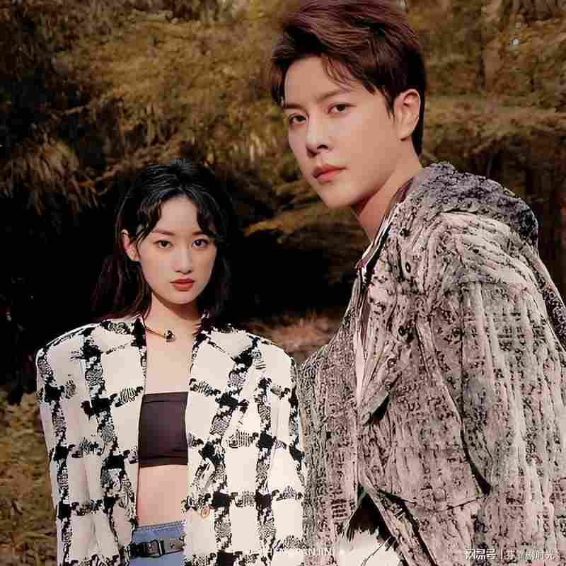  《演技的化学反应：43岁徐海乔与33岁郭晓婷如何打破选角困境 影视小说