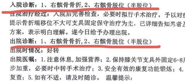  校园欺凌行政认定困局深度剖析：制度框架与执行断层的系统性审视 教育招生