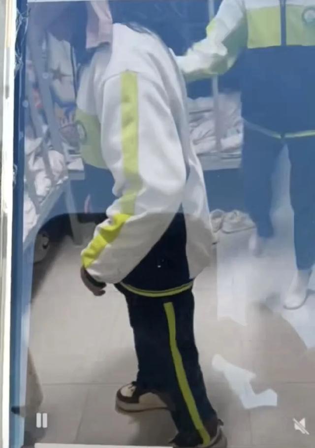  校园欺凌行政认定困局深度剖析：制度框架与执行断层的系统性审视 教育招生