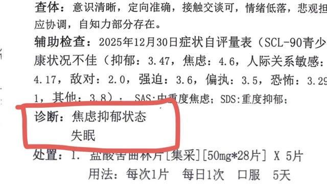  校园欺凌行政认定困局深度剖析：制度框架与执行断层的系统性审视 教育招生