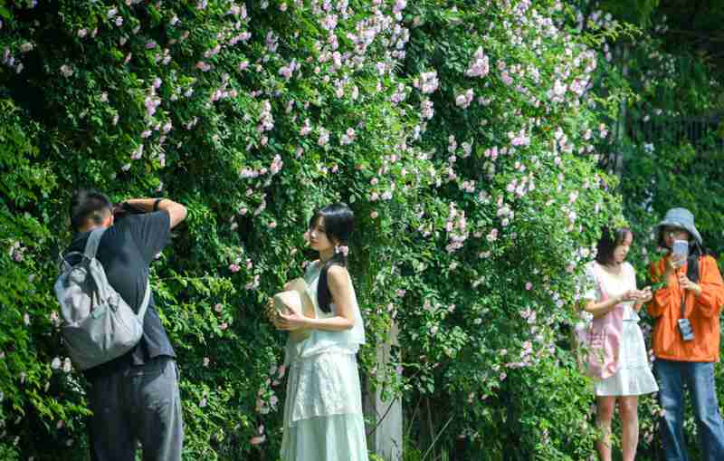  【气象数据全解】武汉气温骤降16℃背后的冷空气入侵机制与防范逻辑 新闻