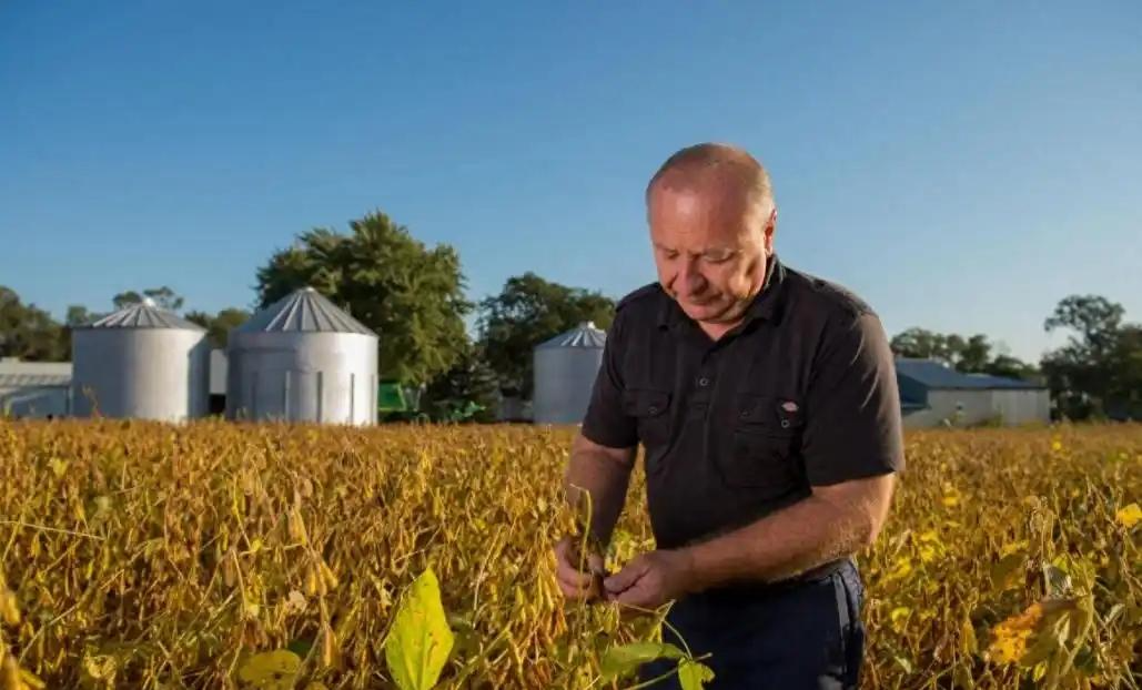  「从统计视角拆解巴西民调：两个百分点的差距根本不是反超」 新闻