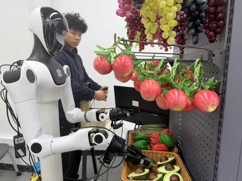  数据瓶颈深度解析：觅蜂科技如何破解具身智能「数据荒漠」困局 汽车科技 数据瓶颈深度解析：觅蜂科技如何破解具身智能「数据荒漠」困局 汽车科技