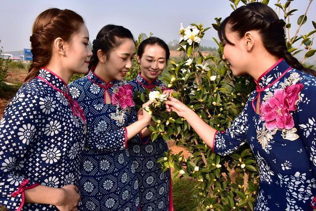  林业标准地：打开森林资源价值转化的制度之门 新闻