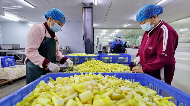  林业标准地：打开森林资源价值转化的制度之门 新闻