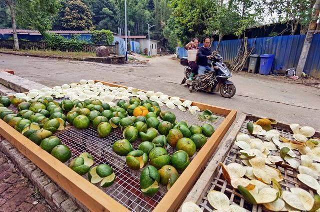  林业标准地：打开森林资源价值转化的制度之门 新闻