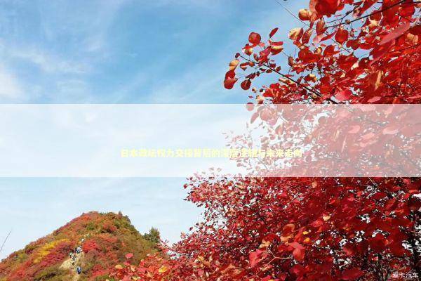 日本政坛权力交接背后的深层逻辑与未来走向 新闻