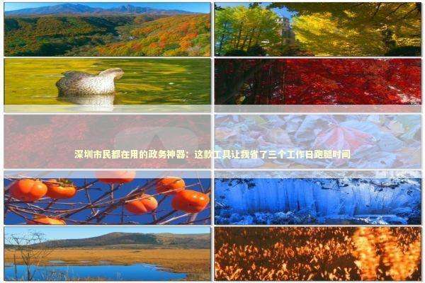 深圳市民都在用的政务神器：这款工具让我省了三个工作日跑腿时间 企业服务