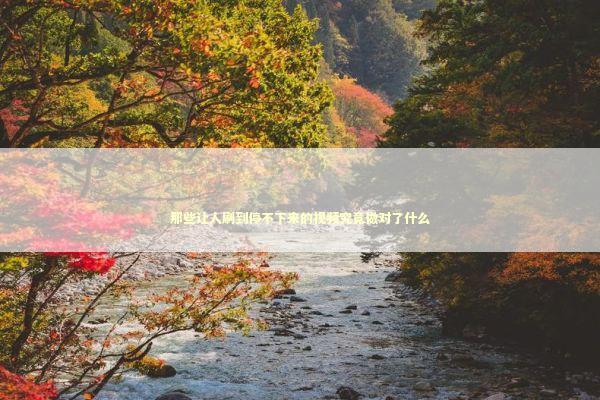 那些让人刷到停不下来的视频究竟做对了什么 娱乐新闻