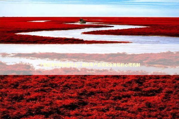 下载应用时你在想什么？揭秘用户忽视安全背后的心理机制 IT技术