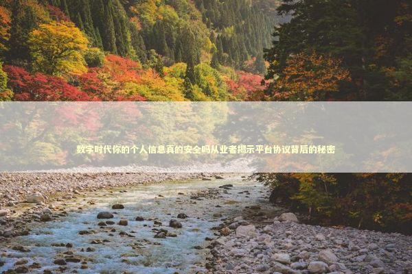 数字时代你的个人信息真的安全吗从业者揭示平台协议背后的秘密 IT技术