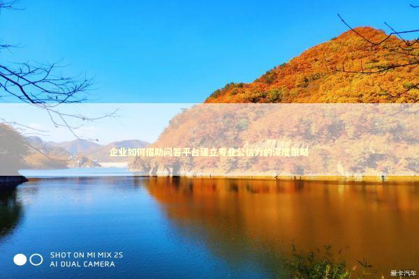 企业如何借助问答平台建立专业公信力的深度策略 企业服务